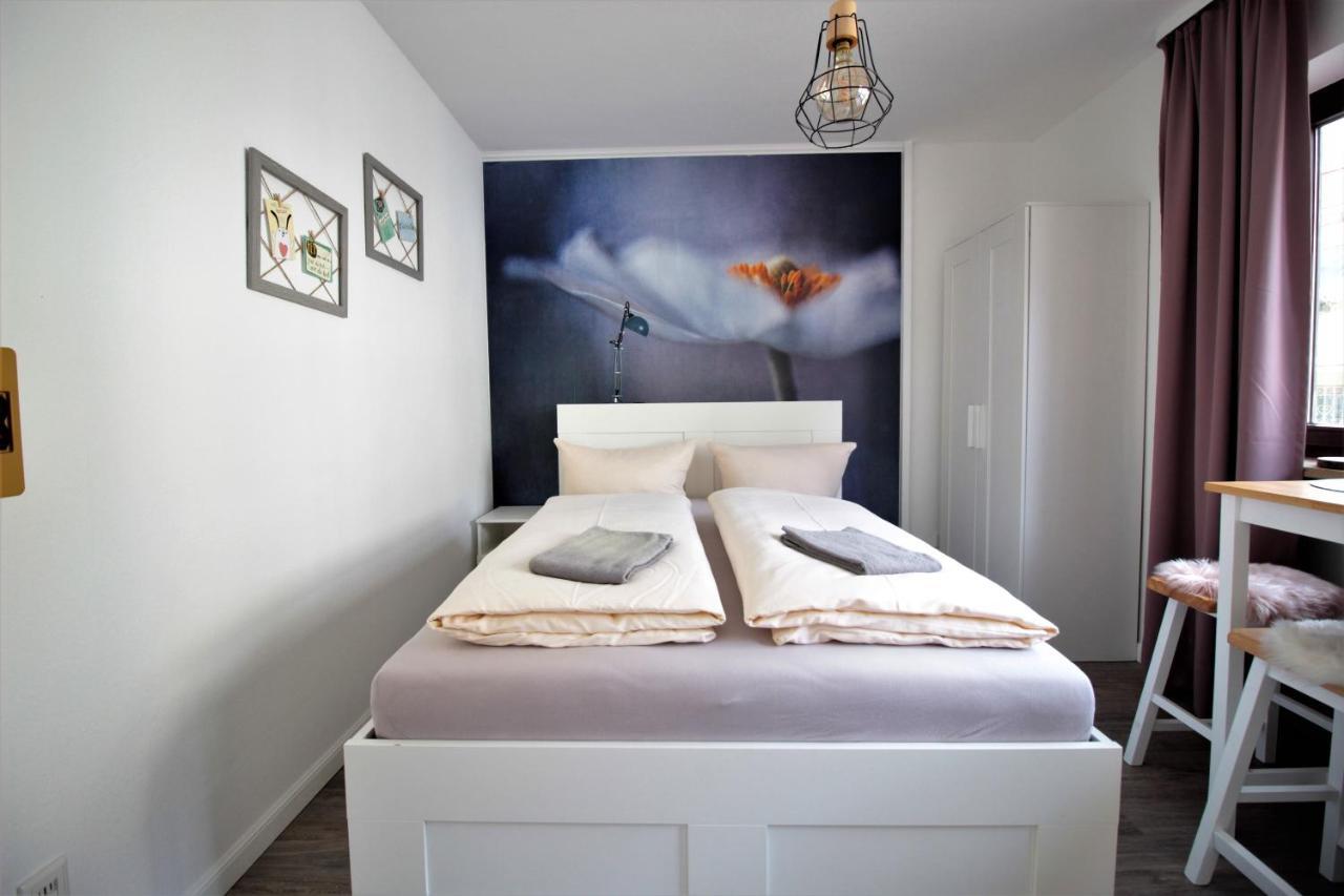 Cozy And Stylish Studioapartment Wurtzbourg Extérieur photo